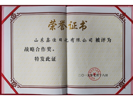 戰略合作獎